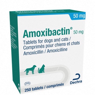 antibiotique peau générique