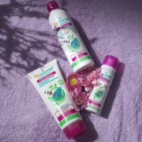 Traitement contre les poux